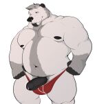 anthro areola bear beard belly biceps big_belly big_muscles biped black_penis blue_eyes bodily_fluids clothed clothing clothing_pull erection facial_hair foreskin fur genital_fluids genitals grey_hair hair hi_res humanoid_genitalia humanoid_penis male mammal mosin muscular muscular_anthro muscular_male navel nipples overweight overweight_anthro overweight_male partially_clothed penis polar_bear precum simple_background smile solo standing thick_thighs underwear underwear_down underwear_pull ursine white_background white_body white_fur