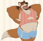 2019 anthro beard belly biceps big_muscles biped brown_hair bulge canid canine clothing digital_drawing_(artwork) digital_media_(artwork) disney facial_hair fox fur gideon_grey hair hands_behind_head male mammal mosin muscular open_mouth orange_body orange_fur overweight overweight_anthro overweight_male pecs red_fox simple_background solo standing tail teeth thick_thighs topwear true_fox underwear vest yawn zootopia