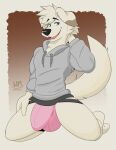 absurd_res anthro bottomwear bulge canid canine canis clothed clothing digital_media_(artwork) domestic_dog fur hair hi_res hoodie jockstrap looking_at_viewer male mammal nude open_mouth shaded simple_background smile solo topwear underwear whippedmint