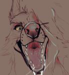  64k bodily_fluids canid canine feral green_eyes hair hair_over_face hi_res imminent_vore male mammal markings mouth_shot open_mouth saliva saliva_string sketch solo talking_to_viewer teeth vore whisker_markings whiskers yellow_sclera 