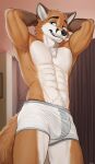  abs absurd_res anthro armpit_hair athletic athletic_anthro athletic_male blue_eyes body_hair bulge canid canine clothing fox hi_res male mammal mouldirou muscular muscular_male pecs solo underwear 