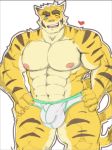  &lt;3 anthro bulge clothing feline half_naked kunn_(artist) male mammal morenatsu muscular solo tiger torahiko_(morenatsu) underwear undressing 