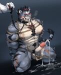  abs absurd_res annoyed anthro bdsm biceps big_muscles blush bodily_fluids bondage bound breath collar cum cum_string degradation embarrassed erection felid fluffels19 forced gag gagged genital_fluids genitals hands_behind_back hi_res holding_leash holding_object humanoid_genitalia humanoid_penis humiliation kidnapping kneeling leaking_cum leash leashed_collar leather leather_collar male mammal muscular nipple_piercing nipple_ring nipples nude pantherine pecs penetration penis piercing pubes public_use restraints ring_piercing rope rope_bondage rope_harness scar shaking slave socks_in_mouth solo tiger urethral urethral_penetration urethral_straw vein veiny_penis 