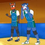  anthro anthrofied bulge clothing duo fuze gym hair hi_res jersey litten male nintendo pok&eacute;mon pok&eacute;mon_(species) pok&eacute;morph popplio shirt sport t-shirt tank_top uniform video_games volleyball 