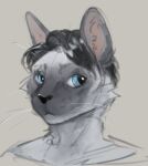  2023 anthro banoncat banoncat_(character) blue_eyes bust_portrait domestic_cat felid feline felis fur hair hi_res looking_aside male mammal multicolored_body multicolored_fur portrait siamese simple_background solo two_tone_body two_tone_face two_tone_fur whiskers 