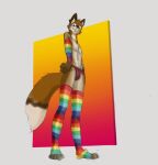 2020 anthro armwear banoncat blush canid canine clothed clothing fox grin hi_res leg_warmers legwear lgbt_pride looking_at_viewer low-angle_view male mammal plantigrade pride_color_armwear pride_color_clothing pride_color_legwear pride_colors smile solo underwear underwear_only