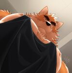 2024 anthro blue_eyes canid canine canis clothing domestic_dog fur hair hi_res looking_at_viewer looking_down low-angle_view male mammal meme multicolored_body multicolored_fur muscular muscular_anthro muscular_male nipples orange_body orange_fur otake pec_pov_meme pecs shirt solo standing takemoto_arashi tank_top topwear two_tone_body two_tone_fur worm&#039;s-eye_view
