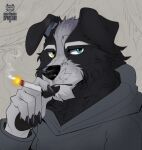  anthro black_body black_fur border_collie canid canine canis cigarette cigarette_in_mouth claws clothed clothing coat collie domestic_dog fur herding_dog heterochromia hi_res male mammal mattiyyah_lion object_in_mouth pastoral_dog pawpads sheepdog smoke smoking smoking_cigarette solo topwear white_body white_fur 