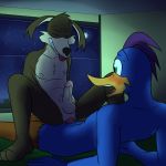  2016 anal anal_penetration anthro avian balls beak bed bird blue_fur blush brown_fur canine cowgirl_position coyote detailed_background digital_media_(artwork) duo erection eyes_closed feathers fur fuze green_eyes hi_res loonatics_unleashed looney_tunes male male/male male_penetrating mammal night nipples nude on_top open_mouth penetration penis rev_runner roadrunner sex smile smirk star tech_e_coyote tongue warner_brothers 