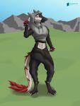  absurd_res anthro bottomwear clothed clothing digitigrade female fingers fur hi_res holding_object hoodie knife looking_at_viewer mask outside red_body sergal sheza sheza_soulscar simple_background smile solo standing tail tail_tuft teremunart topwear tuft white_body white_fur 