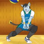  anthro anthrofied ball clothing fuze gym hi_res inside male nintendo pok&eacute;mon pok&eacute;mon_(species) pok&eacute;morph shinx shirt solo sport t-shirt tank_top video_games volleyball 