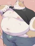  2024 anthro belly big_belly blush bulge clothed clothing clothing_lift domestic_cat felid feline felis hi_res kemono male mammal moobs navel nipples overweight overweight_male shirt shirt_lift simple_background solo topwear underwear uokkom 