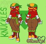  anthro bandanna boots bottomwear brown_body brown_skin bulge clothing echidna fangs fingerless_gloves footwear fur glaring gloves handwear hi_res kerchief knuckles_the_echidna male mammal model_sheet monotreme pants purple_eyes red_body red_fur rosepits satchel sega solo sonic_the_hedgehog_(series) spikes spikes_(anatomy) taped_hands teeth 