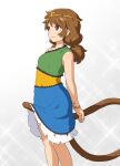  1girl :3 blue_dress breasts brown_hair circlet closed_mouth clothes_lift commentary_request covered_navel dress feet_out_of_frame green_dress grey_background lifted_by_tail looking_afar low_twintails medium_bangs medium_hair monkey_tail multicolored_clothes multicolored_dress red_eyes sexually_suggestive shirosato skirt skirt_lift sleeveless sleeveless_dress small_breasts smile solo son_biten standing tail touhou twintails yellow_dress 