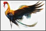  2017 avian beak bird black_beak black_feathers digital_media_(artwork) feathers feral ink-leviathan simple_background solo standing white_background 