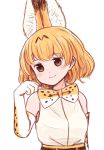  animal_ears bare_shoulders batta_(ijigen_debris) blush brown_eyes closed_mouth commentary elbow_gloves extra_ears eyebrows_visible_through_hair gloves grey_shirt hand_up highres kemono_friends looking_at_viewer orange_hair paw_pose serval_(kemono_friends) serval_ears serval_print shirt simple_background sleeveless sleeveless_shirt smile solo upper_body white_background 