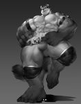  2017 abs anthro barefoot belt biceps big_muscles clothed clothing crtm digital_media_(artwork) fangs feet full-length_portrait fur grey_background hi_res huge_muscles humanoid_feet kemono looking_at_viewer low-angle_view male mammal monochrome multicolored_fur muscular navel nipples obliques open_mouth pads_(disambiguation) pecs plantigrade portrait procyonid raccoon simple_background smile solo standing teeth tongue tongue_out two_tone_fur 