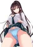  ass_visible_through_thighs black_hair blue_panties bow bow_panties breasts brown_eyes buttons cowboy_shot dress_shirt eyebrows_visible_through_hair from_below gorua_(youce01) green_neckwear green_skirt hair_between_eyes highres idolmaster idolmaster_shiny_colors large_breasts lifted_by_self long_hair long_sleeves looking_at_viewer md5_mismatch navel necktie panties plaid plaid_skirt revision shirase_sakuya shirt simple_background skirt skirt_lift solo underwear white_background white_shirt 