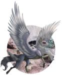  2017 digital_media_(artwork) feathered_wings feathers fur grey_fur hybrid male paws purplesplash1372 red_eyes skull teeth white_feathers wings 