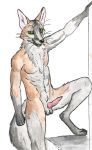  alaric anthro balls canine corsack cross_fox fox knot male mammal nude penis solo 