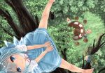  barefoot between_legs black_hair blonde_hair blue_dress blue_eyes blue_hair bow chair cirno daiyousei dress eyebrows_visible_through_hair from_above grass green_hair hair_between_eyes hair_bow hand_between_legs headdress in_tree looking_at_viewer looking_up luna_child mukaino_kei multiple_girls outstretched_leg puffy_short_sleeves puffy_sleeves red_dress red_ribbon ribbon short_hair short_sleeves side_ponytail sitting smile solo_focus spread_legs star_sapphire sunny_milk table touhou tree white_dress wings 