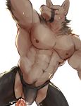  2018 abs anthro black_nose canine chung0_0 clothing cum digital_media_(artwork) fur hi_res male mammal muscular nipples pecs simple_background white_background 