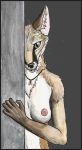  anthro breasts canine corsac_fox corsack fox green_eyes mammal shy 