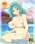  bashou_(senran_kagura) breasts large_breasts senran_kagura senran_kagura_(series) 