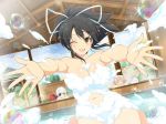  3girls asuka_(senran_kagura) breasts hibari_(senran_kagura) large_breasts multiple_girls senran_kagura senran_kagura_(series) yagyuu_(senran_kagura) 