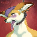  2018 anapnea anthro asphyxiation black_eyebrows black_nose bloodshot_eyes blue_eyes brown_fur canine crying death digital_media_(artwork) drooling eyebrows fangs fennec fox front_view fur hair hanged inner_ear_fluff male mammal multicolored_fur noose open_mouth pink_tongue purple_hair red_background rope saliva short_hair signature simple_background snout snuff solo tears teeth tongue tongue_out two_tone_fur white_fur 
