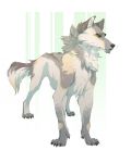  2017 amber_eyes canine claws digital_media_(artwork) eyebrows feral grey_nose linhagen mammal simple_background solo standing wolf 