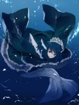  ikurauni mermaid monster_girl touhou wakasagihime 