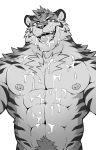  2018 abs anthro chest_tuft digital_media_(artwork) feline fur hi_res male mammal muscular muscular_male nipples open_mouth pecs simple_background stripes takemoto_arashi tiger tongue tuft 