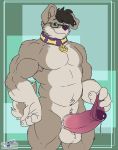  anthro balls canine collar erection eyewear foreskin_pull glasses humanoid_penis looking_at_viewer male mammal muscular muscular_male penis precum smile solo standing thick_penis uncut wolfblade 