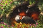  2013 amazing_background ambiguous_gender black_nose blakc_fur brown_fur canine day detailed_background feral fox fur grass heyriel mammal orange_fur outside sleeping solo 