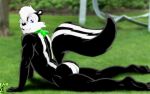 2011 anthro archie_comics bedroom_eyes black_body black_fur black_nose blue_eyes butt cheek_tuft downward_dog fabfelipe facial_tuft fluffy fluffy_tail fur fur_tuft geoffrey_st._john green_kerchief green_neckerchief hair hair_over_eye kerchief kerchief_only looking_at_viewer male mammal mephitid mostly_nude mostly_nude_anthro mostly_nude_male multicolored_body multicolored_fur narrowed_eyes neckerchief neckerchief_only neckwear pinup pose seductive sega side_view skunk skunk_tail smile solo sonic_the_hedgehog_(archie) sonic_the_hedgehog_(comics) sonic_the_hedgehog_(series) tail tuft two_tone_body two_tone_fur whisker_spots white_body white_fur white_hair white_inner_ear