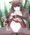  2017 akatsuki_no_guuru anthro anus black_nose breasts brown_eyes brown_hair canine clothed clothing female fur grey_fur hair imaizumi_kagerou japanese_text looking_at_viewer mammal navel nipples partially_clothed pussy solo text touhou translated white_fur wolf 
