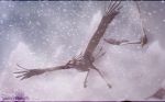  2012 avian beak bird day digital_media_(artwork) feathered_wings feathers flying outside sinistereternity snow snowing wings 