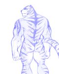  anthro butt feline hi_res looking_at_viewer maiofu male mammal monochrome muscular nude rear_view simple_background solo tiger white_background 