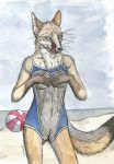  anthro beach canine clothed clothing corsac_fox corsack covering covering_breasts female fox green_eyes mammal partially_clothed seaside skimpy solo swimsuit tongue tongue_out 