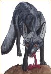  blood canine corsack eating feral fox gore mammal prey silver_fox 