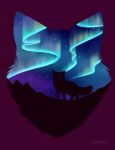  2018 ambiguous_gender aurora_borealis canine feral fox mammal night quadruped signature standing star yoko_darkpaw 