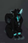  anthro black_hair canine cuntboy digital_media_(artwork) fur hair intersex jason_shiro kneeling looking_at_viewer mammal muzzle_(disambiguation) simple_background solo wolf 