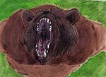 anthro big_bad_bear bigbadbear bodily_fluids canid canine canis colored domestic_dog eyes_closed grass green_grass imminent_oral_vore imminent_vore male mammal mouth_shot open_mouth painting_(artwork) plant prey_pov saliva saliva_on_tongue saliva_string sharp_teeth solo teeth tongue uvula vore