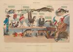 1833 19th_century absurd_res accipitriform accipitriform_humanoid alligatorid alligatorid_humanoid ambiguous_gender amphibian ancient_art animal_humanoid apodiform arachnid arthropod avian avian_humanoid bald bicorne biped bird bird_humanoid brown_body brown_feathers caiman_humanoid caption chameleon_humanoid character_request clothing crane_(bird) crocodilian crocodilian_humanoid crowned_crane cushion desk egg feathers feet felid felid_humanoid feline feline_humanoid feral footwear fur_jacket furniture gloves grey_crowned_crane gruiform handwear hat headgear headwear heart_symbol hi_res holding_melee_weapon holding_object holding_sword holding_weapon human humanoid humanoid_face hummingbird hummingbird_humanoid humor hyena hyena_humanoid jean_grandville judge_uniform key label lizard_humanoid lynx_humanoid lyrebird_humanoid male mammal mammal_humanoid melee_weapon military_uniform multicolored_body necktie parrot_humanoid perching phrygian_cap political_cartoon politics porcupine pufferfish_humanoid quadruped red_clothing red_eyes red_footwear red_hat red_headwear red_nose red_shoes reptile reptile_humanoid rodent sash scalie scalie_humanoid scorpion shoes sign snake sword table tadpole tadpole_humanoid talons toad toad_humanoid toes toucan_humanoid uniform vulture_humanoid weapon yellow_body