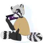 1:1 absurd_res ailurid anthro black_body black_fur clean_diaper clothed clothing d._azimi_(fennecat) dead_eyes diaper facial_scar fennecat fur grey_hair hair hi_res holding_object holding_tablet male mammal markings monochrome_body purple_eyes purple_nose red_panda scar solo spotted_ears tuft watermark wearing_diaper website_logo white_markings yellow_tuft