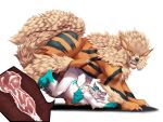 absurd_res animal_genitalia animal_penis anthro anthro_on_feral anthro_penetrated arcanine bestiality bodily_fluids canine_genitalia canine_penis claws cum cum_inside curei_(birdshinobi) dean.winchester doggystyle duo fangs feral feral_penetrating feral_penetrating_anthro fluffy fluffy_tail from_behind_position fur furred_kobold furred_scalie generation_1_pokemon genital_fluids genitals hi_res internal knot knotted_penis knotting kobold male male/male nintendo penetration penis pokemon pokemon_(species) raised_hips raised_leg scalie sex striped_body striped_fur stripes tail teeth tongue