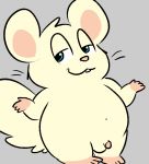  grey_background hamster male mammal navel nishi oxynard penis rodent simple_background solo 