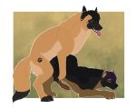 5:4 animal_genitalia animal_penis breeding canid canine canine_genitalia canine_penis canis domestic_dog duo ear_piercing feral footprint genitals german_shepherd hair hedonophobia_h herding_dog herm herm_penetrated herm_penetrating hi_res intersex intersex/male intersex_penetrated intersex_penetrating male malinois_dog mammal markings pastoral_dog pawprint pawprint_(marking) pawprint_tattoo penetration penis piercing quinton_(qshep) sheepdog size_difference tattoo tongue tongue_out