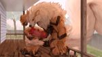 16:9 2025 animal_genitalia animal_penis anthro arcanine autofellatio balls big_balls big_penis big_tail biped black_balls black_body black_fur black_sheath bodily_fluids canine_genitalia canine_penis claws digital_media_(artwork) digitigrade dripping erection finger_claws fluffy fluffy_tail fur generation_1_pokemon genital_fluids genitals huge_penis huge_tail knot looking_at_viewer male male_anthro masturbation multicolored_body multicolored_fur muscular muscular_anthro muscular_male neck_tuft nintendo oral oral_masturbation orange_body orange_fur paws penile penile_masturbation penis pokemon pokemon_(species) precum precum_drip red_eyes red_penis sheath smile smiling_at_viewer solo tail tan_body tan_fur toe_claws tongue tongue_out tuft widescreen zephyxus